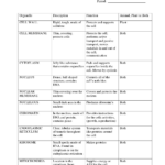 Cells Alive Plant Cell Worksheet Answer Key