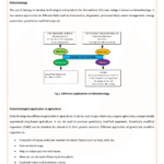 Chapter 12 Section 1 Dna The Genetic Material Worksheet Answers Ivuyteq