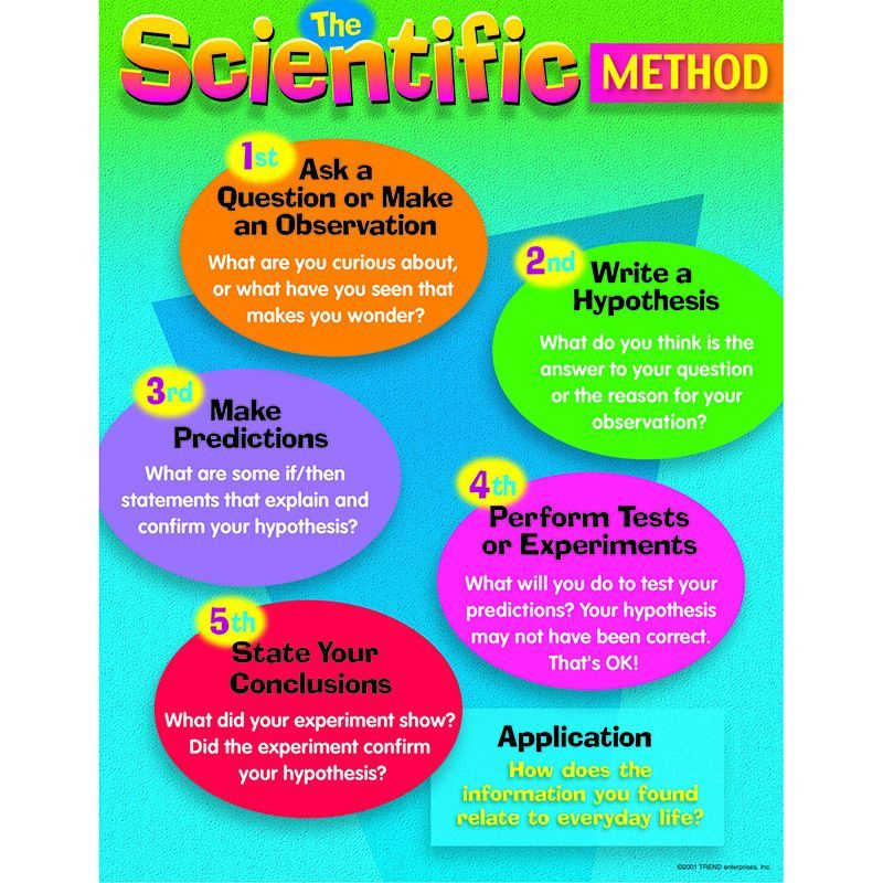 CHART THE SCIENTIFIC METHOD GR 4 8 Scientific Method Teaching