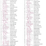 Chemical Formula Worksheets Answer Key Chemical Formula Chemistry