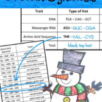 Christmas Science Lab Activity Using Protein Synthesis To Build A