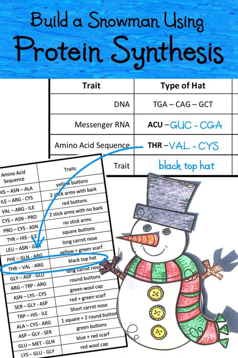 Christmas Science Lab Activity Using Protein Synthesis To Build A 