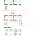 Class 3 NSO PDF Worksheet 03 Free Science Worksheets 3rd Grade Math