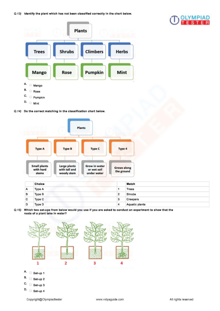 Class 3 NSO PDF Worksheet 03 Free Science Worksheets 3rd Grade Math 