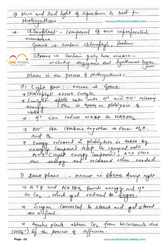 CLASSNOTES Ncert Notes For Class 10 Science Biology Life Processes