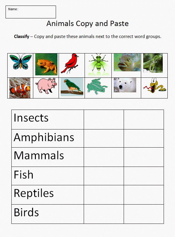 Copy And Paste Classifying Animals K 5 Computer Lab Technology