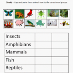 Copy And Paste Classifying Animals K 5 Computer Lab Technology