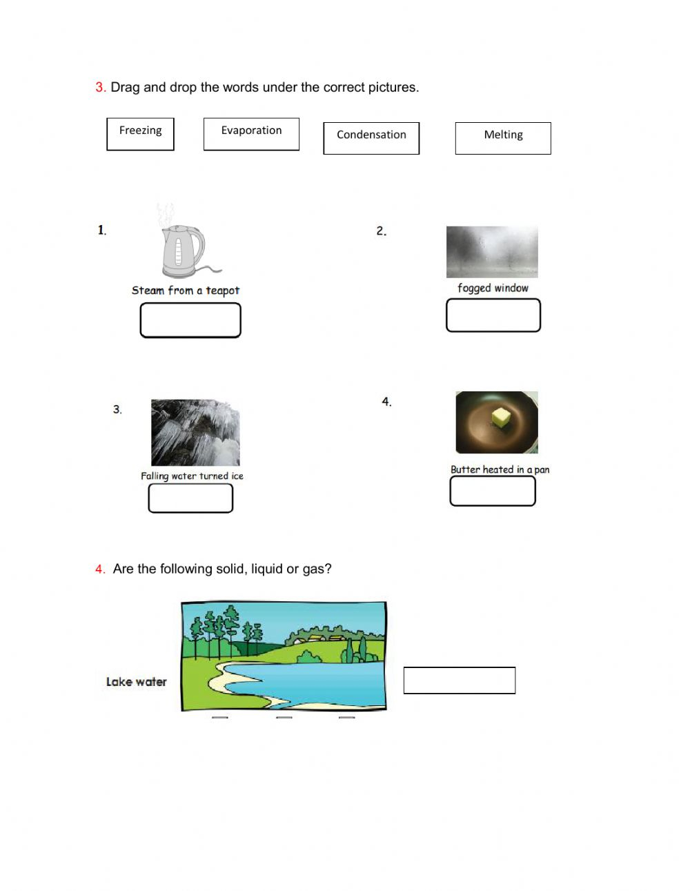 Cuestionario Science 3rd Grade Worksheet
