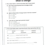Daily Science Worksheets Kids Free Answers For Prek 6Th Db excel