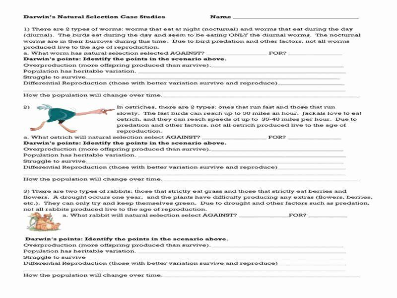 Darwins Natural Selection Worksheet Answers Natural Selection Darwins 