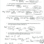 Density Calculations Worksheet Answer Key