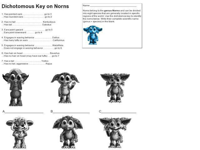 Dichotomous Key 6th 12th Grade Worksheet Lesson Planet 