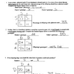 Dihybrid Punnett Square Practice Answer Key Punnett Square Dihybrid