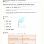 Discovery Education Science Worksheet Answers Pearson Education