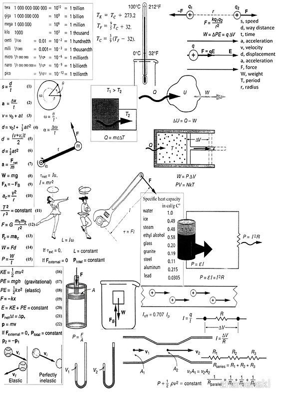 Displacement Velocity And Acceleration Worksheet Answer Key Worksheet