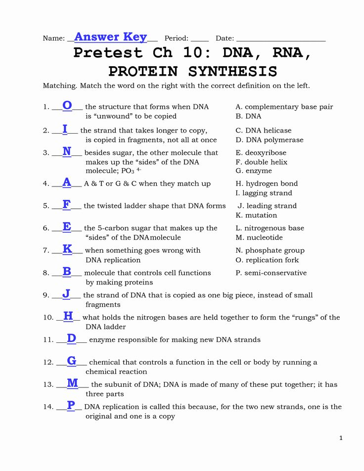 Dna And Rna Worksheet Answers Luxury Worksheet 3 The Nsa At Work