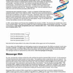 Dna The Double Helix Worksheet Lovely Dna Worksheet In 2020 Dna