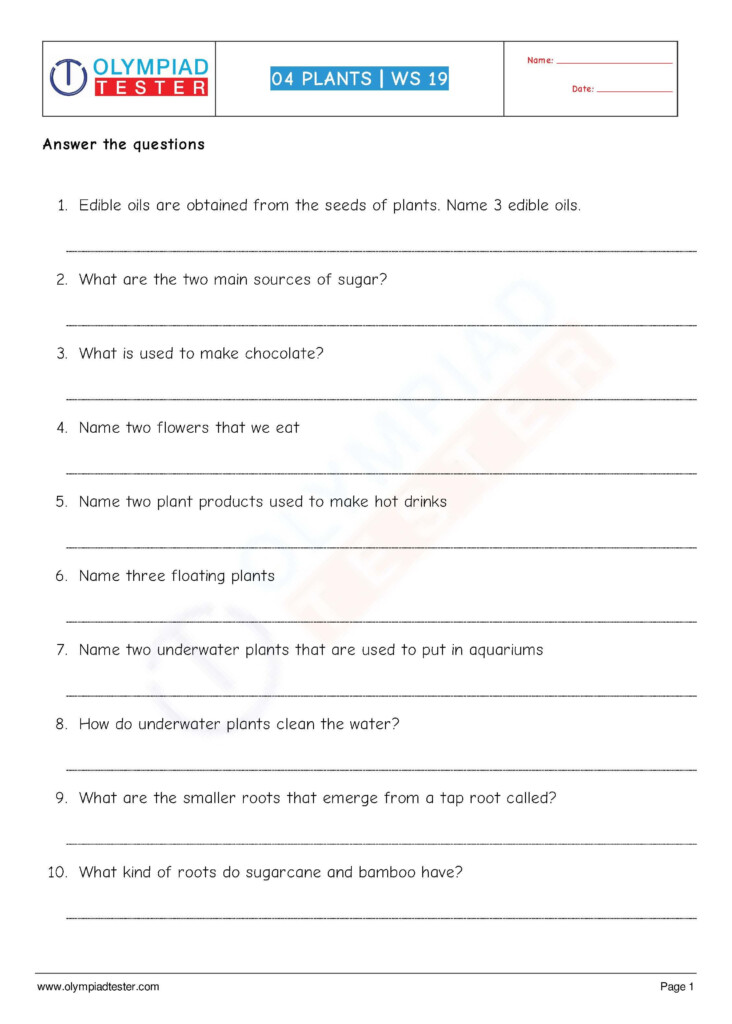 Download Grade 4 Science Worksheet Of Olympiadtester On The Chapter 