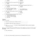 Earth Science Chapter 13 Section 2 Review The Earth Images Revimage Org