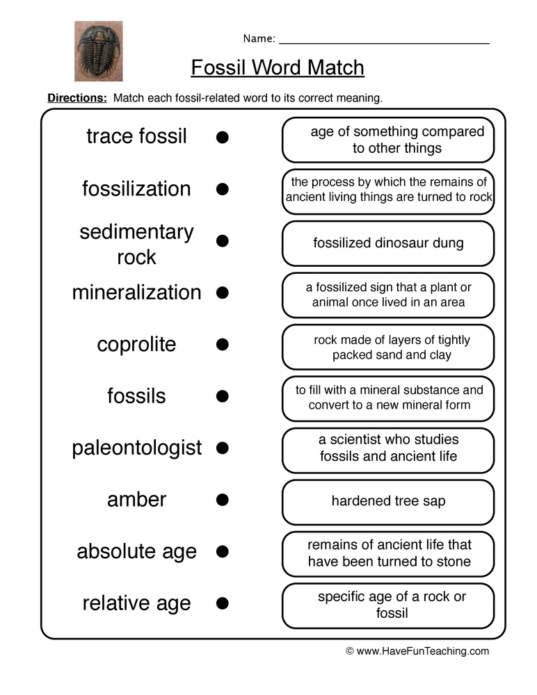 Earth Science Worksheets Have Fun Teaching