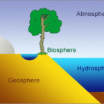 Ecological Principles Earth Structure And Systems Science Teaching