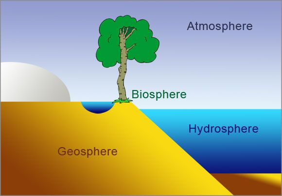 Ecological Principles Earth Structure And Systems Science Teaching 