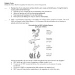 Ecological Succession Worksheet Answers Key Quizlet Waltery Learning