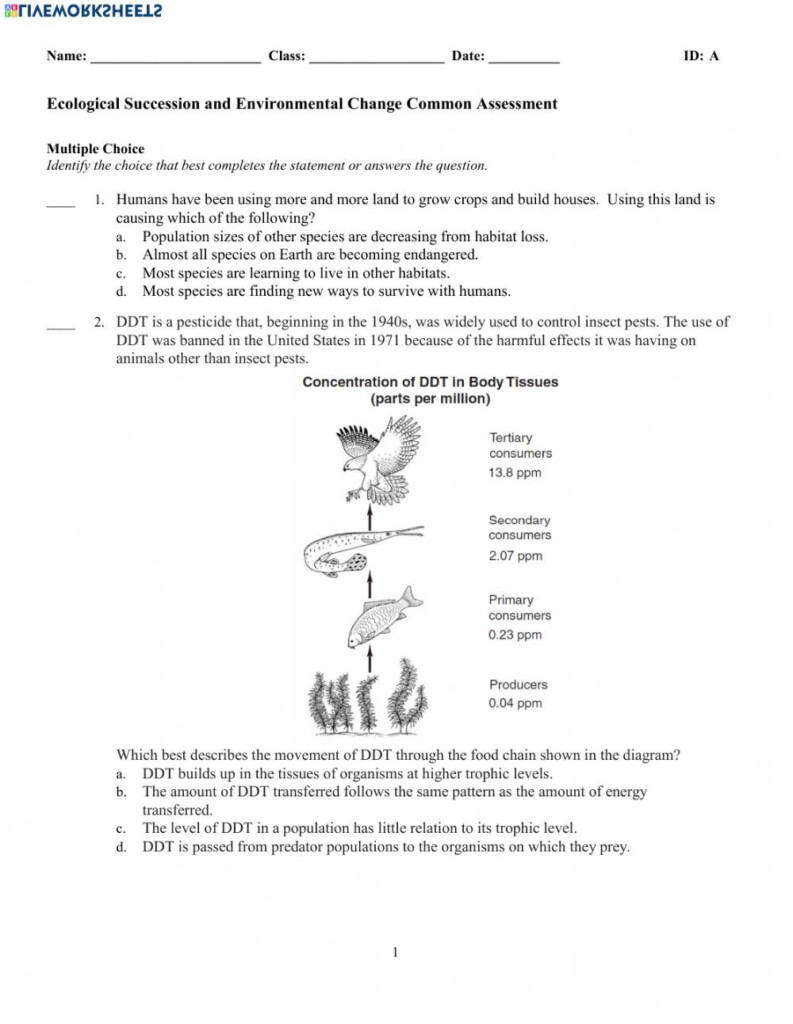 Ecological Succession Worksheet Answers Key Quizlet Waltery Learning 