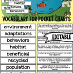 Ecosystems Pocket Chart Vocabulary EDITABLE Teaching Ecosystems