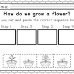 Educational Worksheets For 4 Year Olds Printable K5 Worksheets