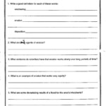 Environmental Science Worksheets For High School
