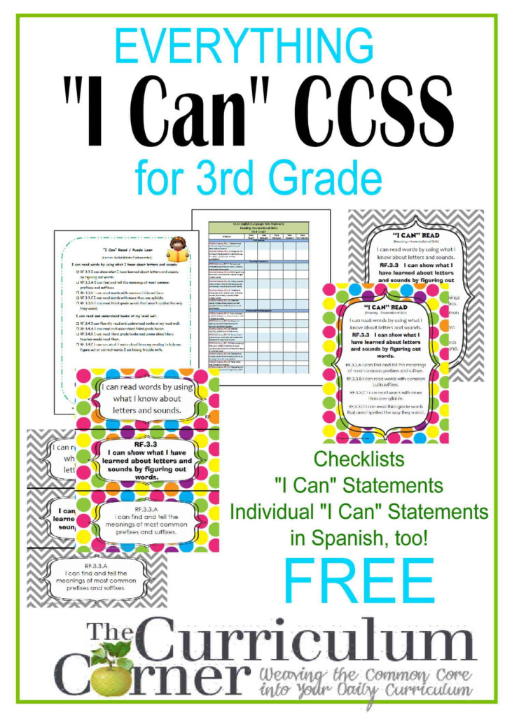 Everything I Can Common Core For 3rd Grade The Curriculum Corner 123