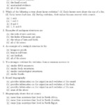 Evolution Review Worksheet Answers Chapter 10 The Theory Of Evolution