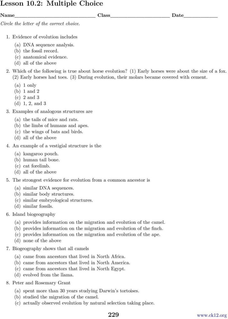 Evolution Review Worksheet Answers Chapter 10 The Theory Of Evolution 