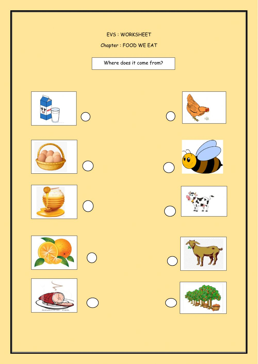 EVS Food We Eat Worksheet