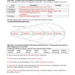 Excel 10th Grade Science Worksheets 10th Grade Earth Science Science