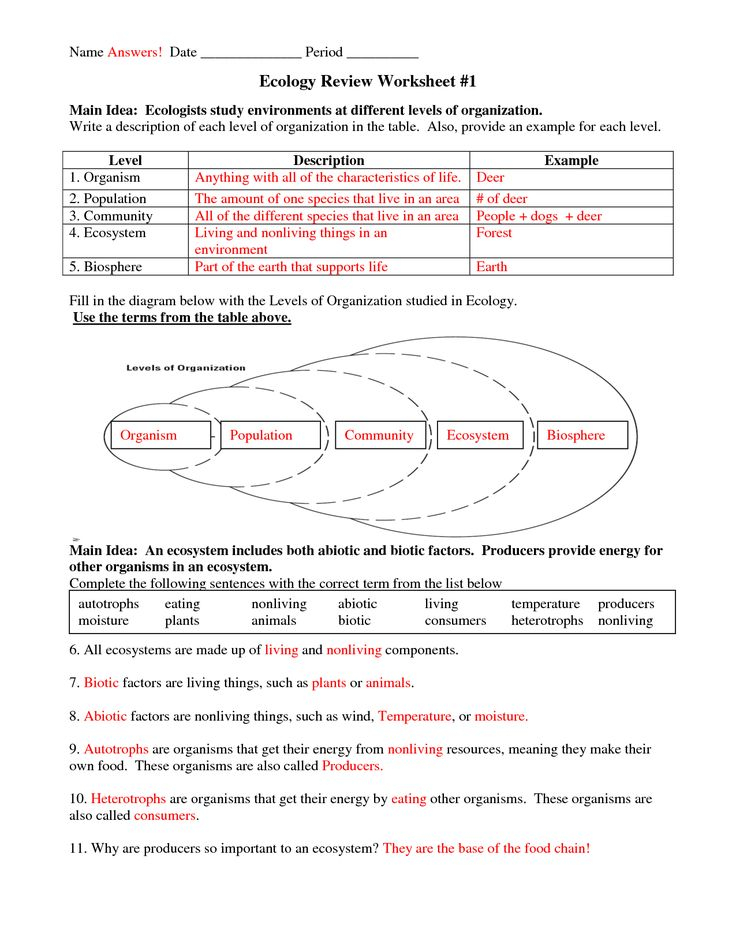 Excel 10th Grade Science Worksheets 10th Grade Earth Science Science 