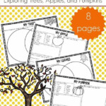 Fall Science Activities Free Fall Science Worksheets For Kids Fall