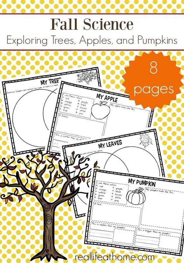 Fall Science Activities Free Fall Science Worksheets For Kids Fall 