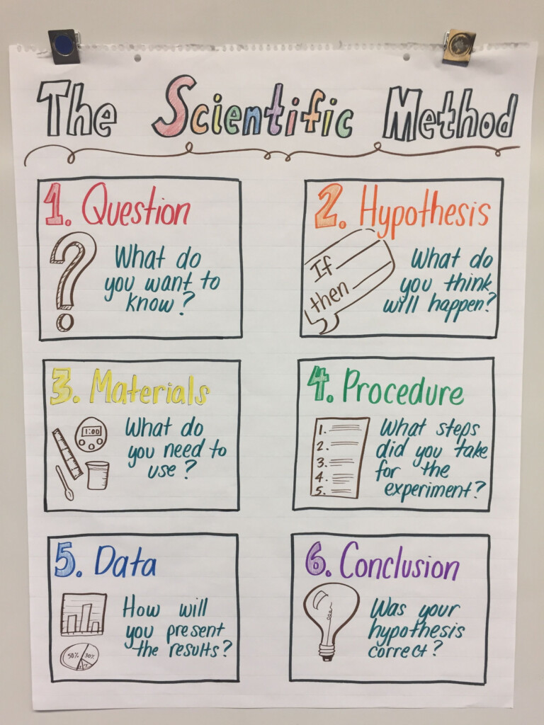 Fifth Grade 5th Grade Scientific Method Worksheet Thekidsworksheet