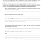 Film Study Worksheet