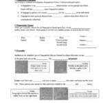 Fingerprint Basics Worksheet Answers Worksheet