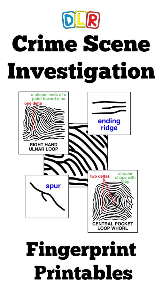 Fingerprint Basics Worksheet Answers Worksheet List