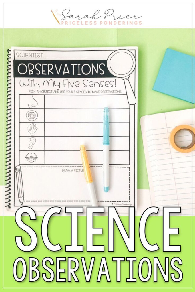 Five Senses And Science Observations Activities And Worksheets 