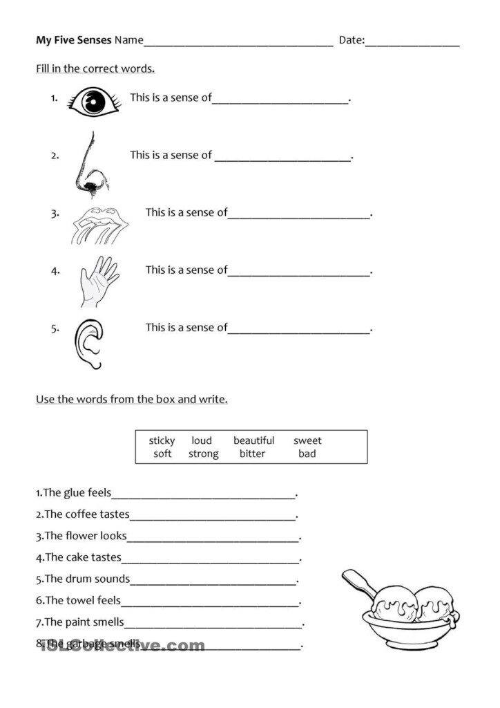 Five Senses Five Senses Worksheet Science Worksheets 2nd Grade 