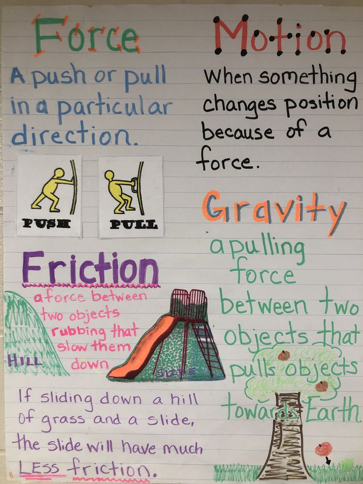 Forces And Motion Friction Gravity Force And Motion 5th Grade