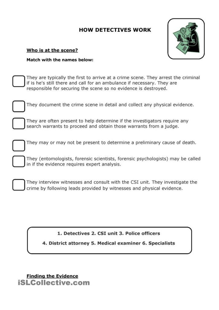 Forensic Science Physical Evidence Worksheet Escolagersonalvesgui
