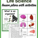 Fourth Grade NGSS 4 LS1 Life Science Unit Life Science Science