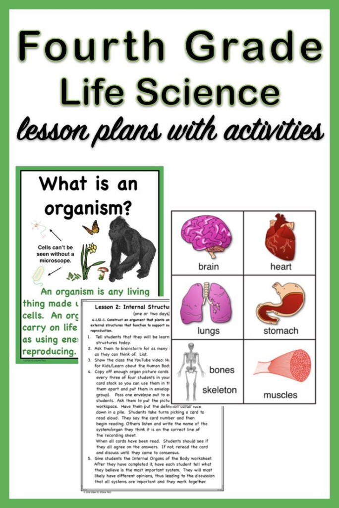 Fourth Grade NGSS 4 LS1 Life Science Unit Life Science Science 