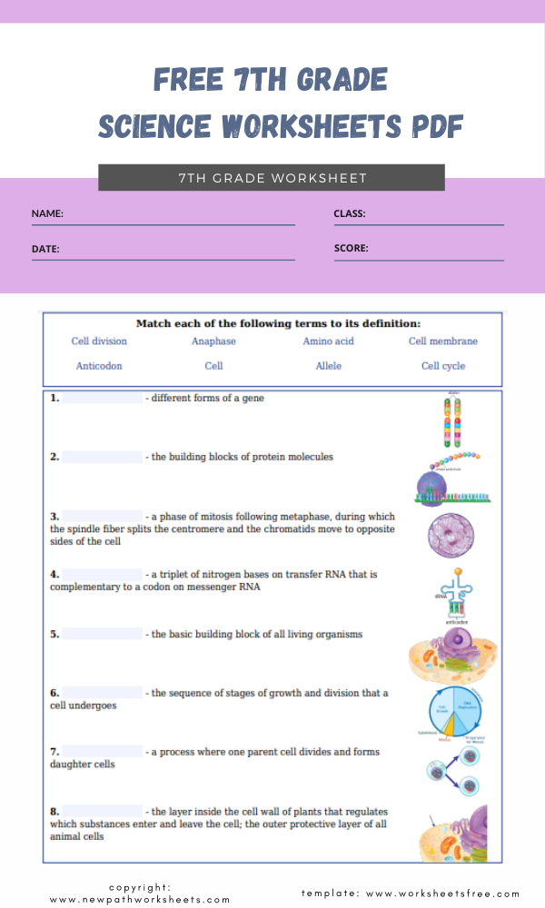 Free 7th Grade Science Worksheets Pdf Grade 7 Worksheets Free
